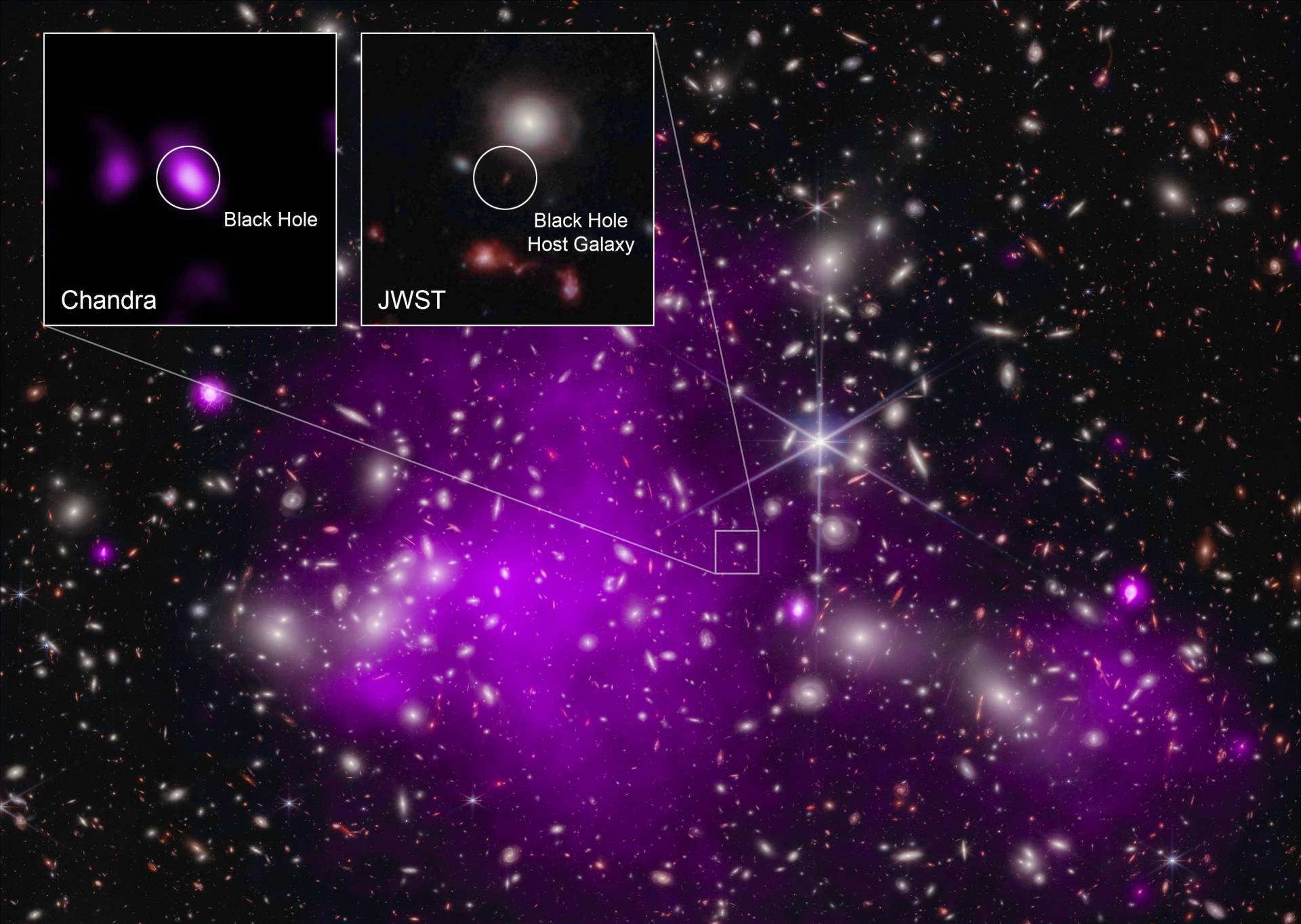 A cluster of stars with a purple tint