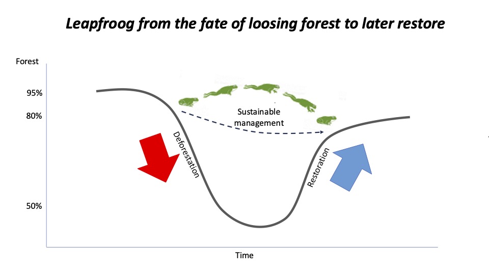 a graph showing the concept of leapfrogging
