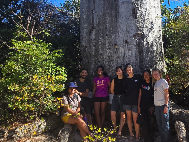 half a dozen princeton studetns under a giant tree