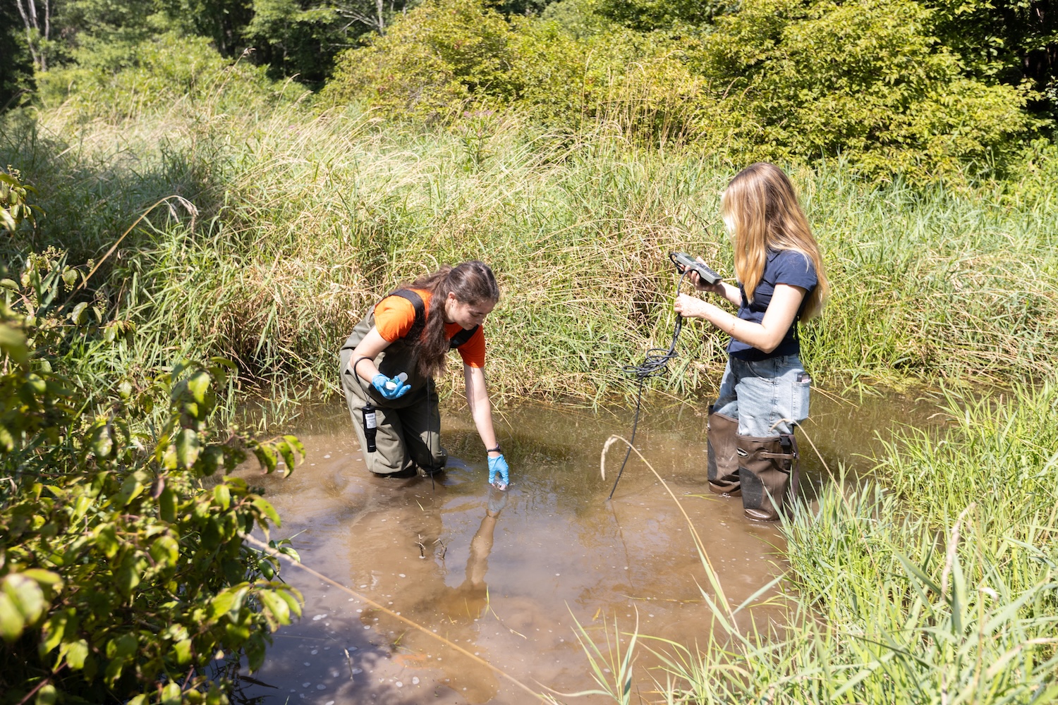 Two students looking at data in muddy stand of water