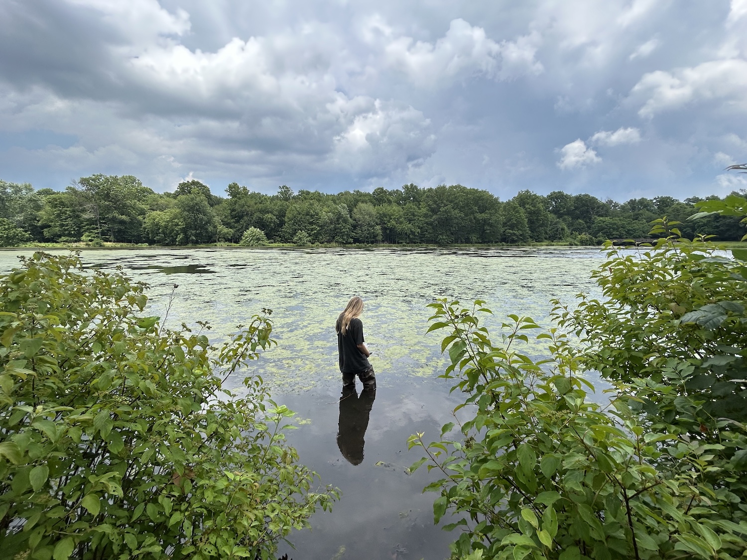 Student looking at water in swamp