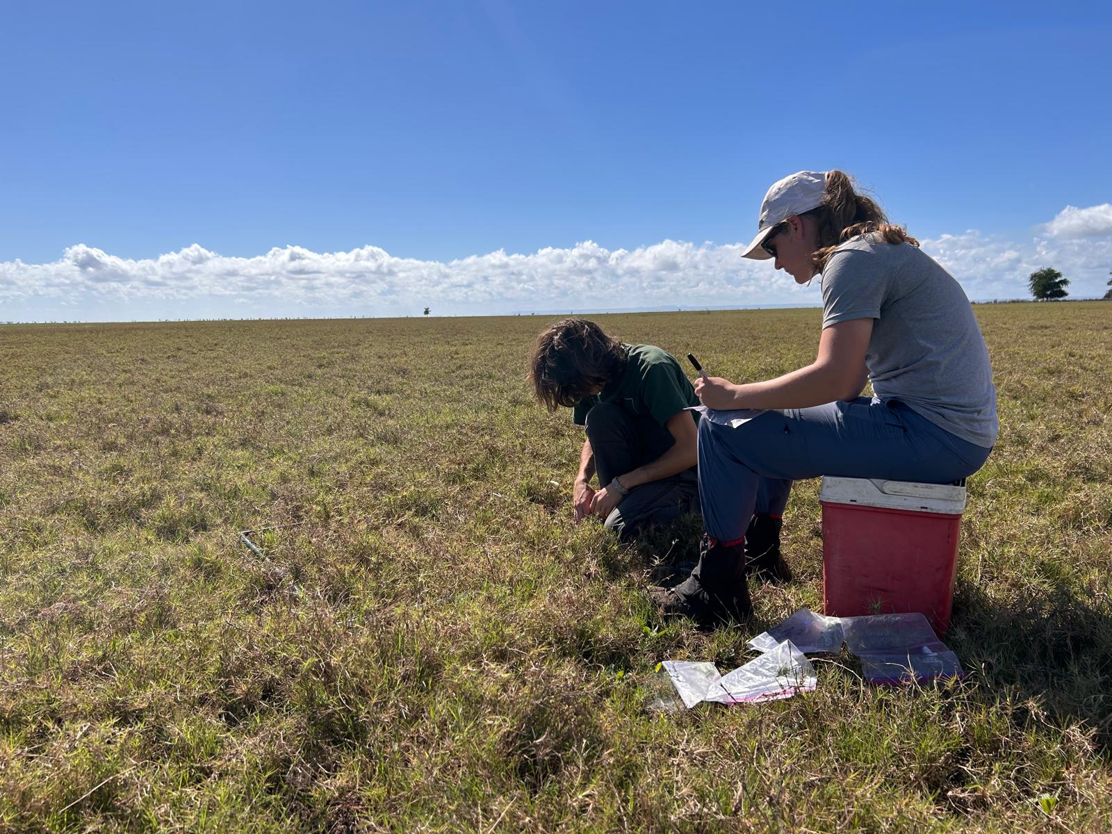 Students on grassy field doing research