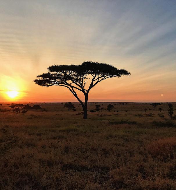 Tanzania nature