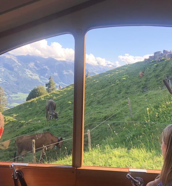 Two students in a gondola lift going past grazing livestock in Switzerland