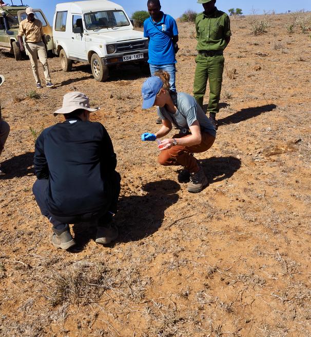 Field research at mpala