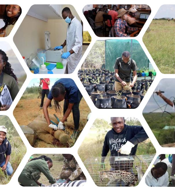 a cluster of mpala photos arrayed in a honeycomb format