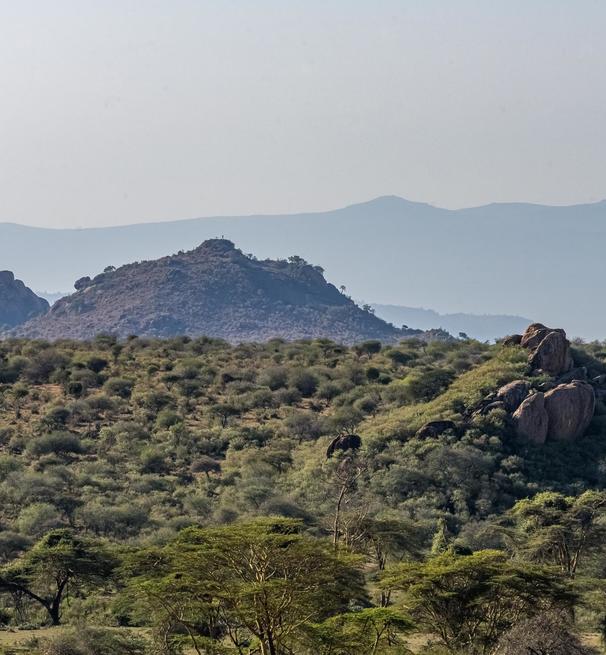 landscape at mpala