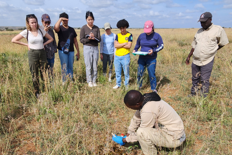 A group of Princeton students and mpala staff conducting research in a an open field