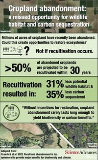 Infographic on cropland abandonment