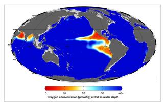 A thermal map of the world shows that oxygen-deficient zones shrink during long warm periods
