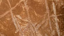 close-up view of a crosshatch engraving over a fossil, discovered in a passage in the Rising Star cave system. 
