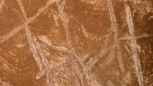 close-up view of a crosshatch engraving over a fossil, discovered in a passage in the Rising Star cave system.