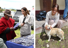 A picture of people interacting and another with a woman posing with a dog.