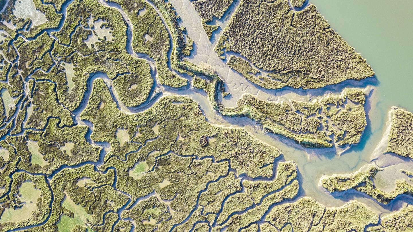 Study led by Princeton climate expert Laure Resplandy details how carbon is stored in or transported through inland and coastal waterways, a work with significant implications for enforcing international climate accords. Photo by iStock