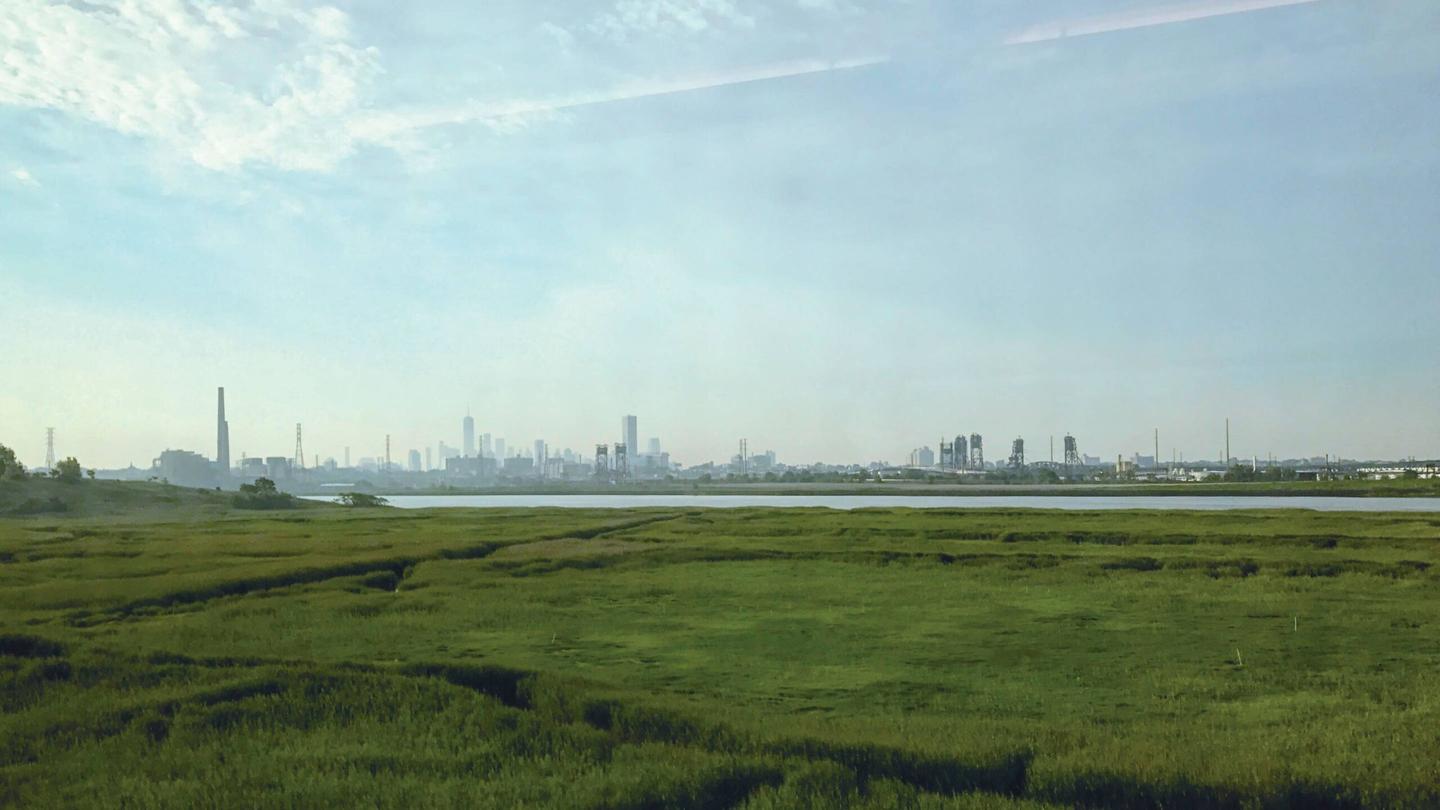 Photo of a city with tall buildings and skyscrapers from afar, with grass in the foreground - representing the New Jersey Meadowlands.