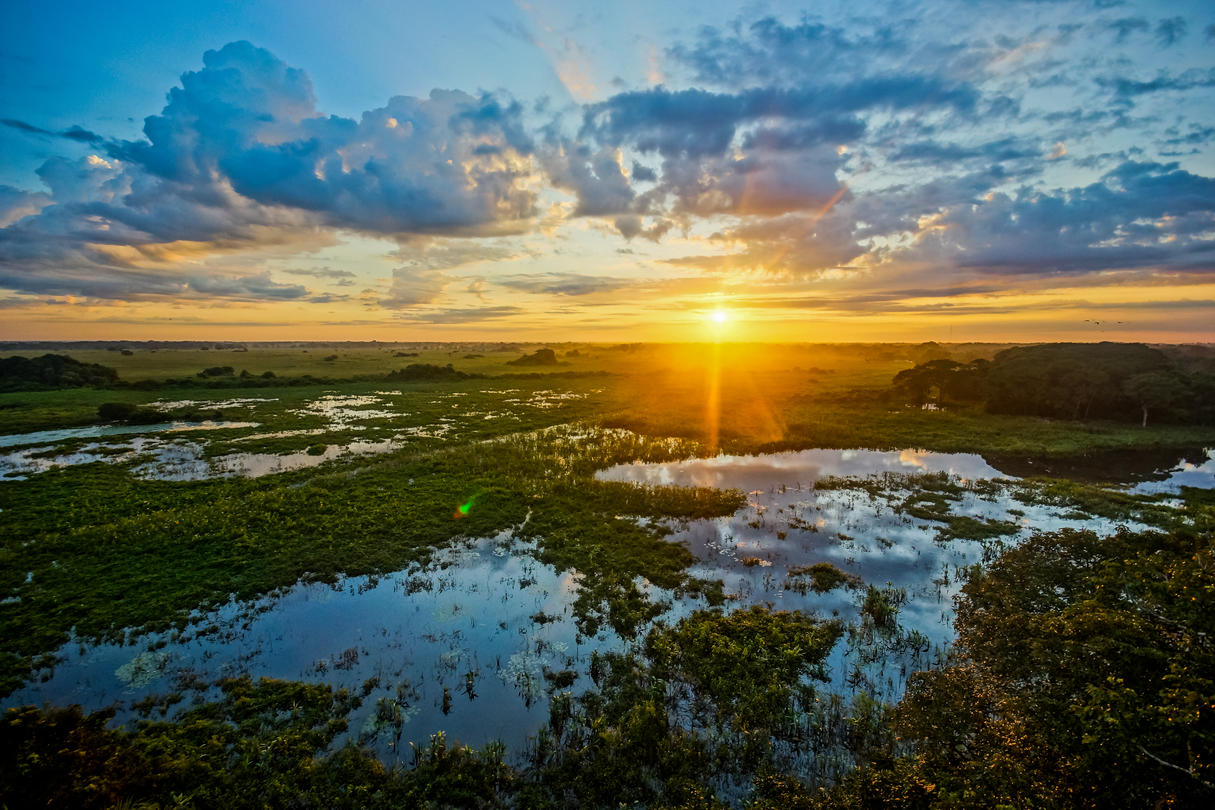 The sun rises over a wetland landscape