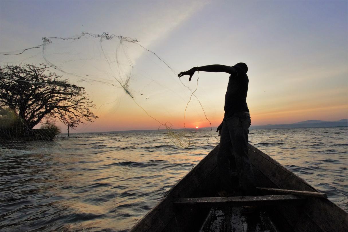 A fisherman casts his net from a boat
