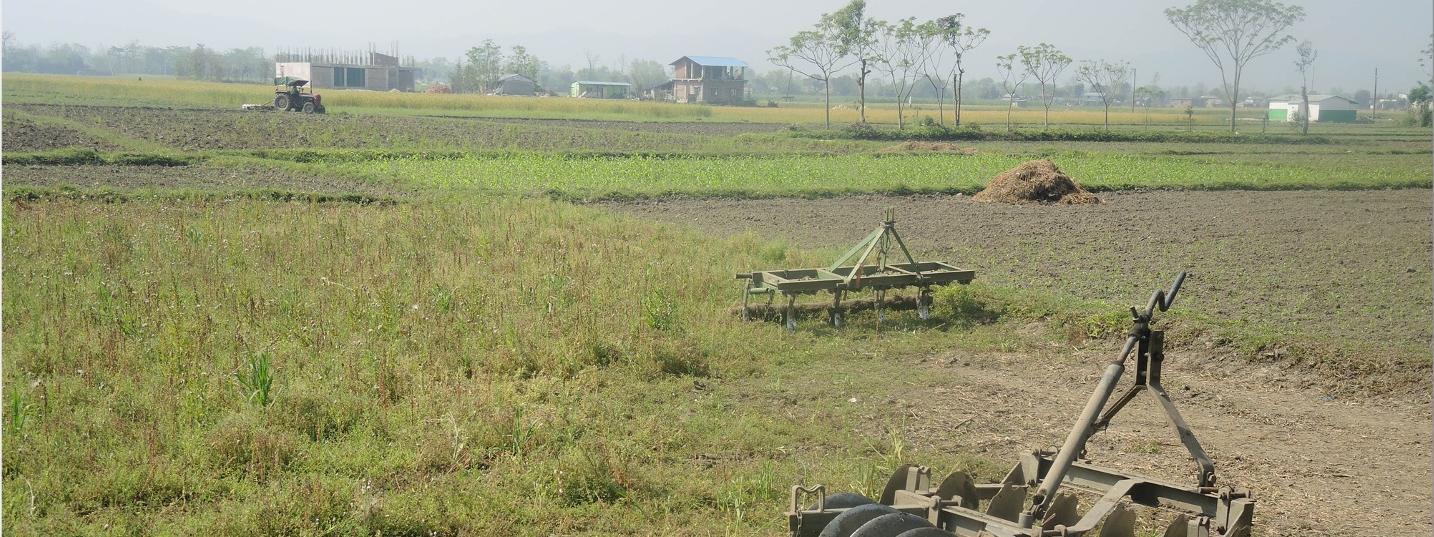 Farm in Nepal. 