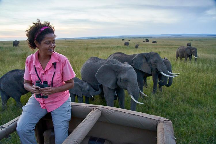Paula Kahumbu sits atop a safari vehicle while elephants roam nearby