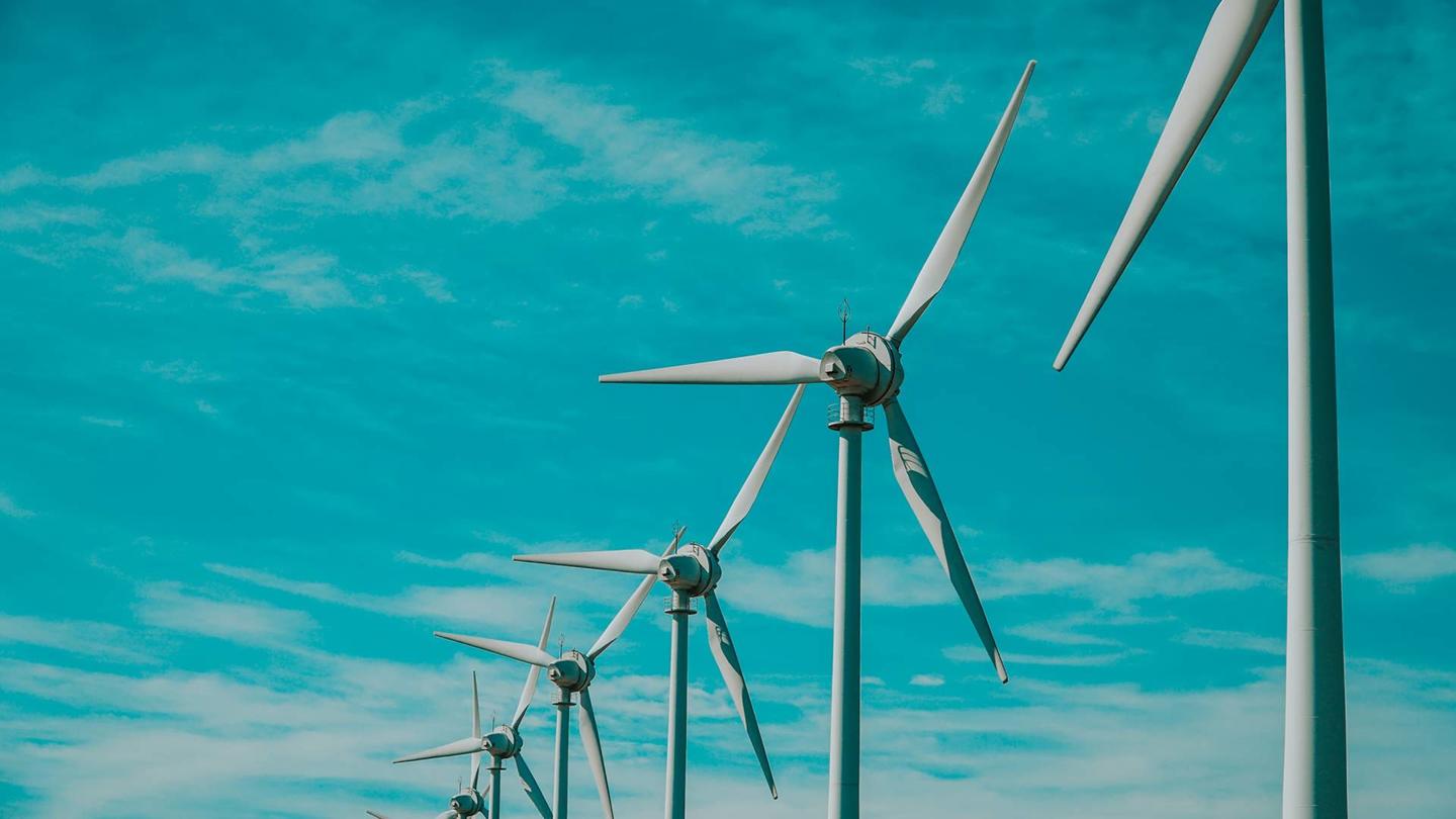 Photo of wind turbines