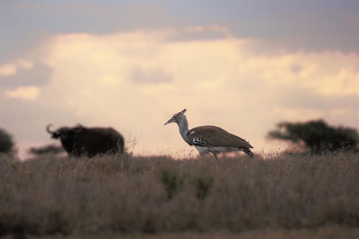 Newcombe_Photo Contest Entry_Nature