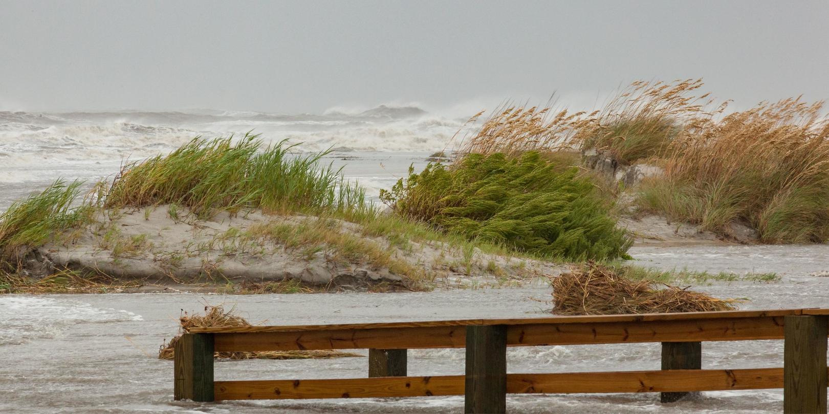 A strong gale blowing vegetation on sand dunes and creating strong waves on the shoreline