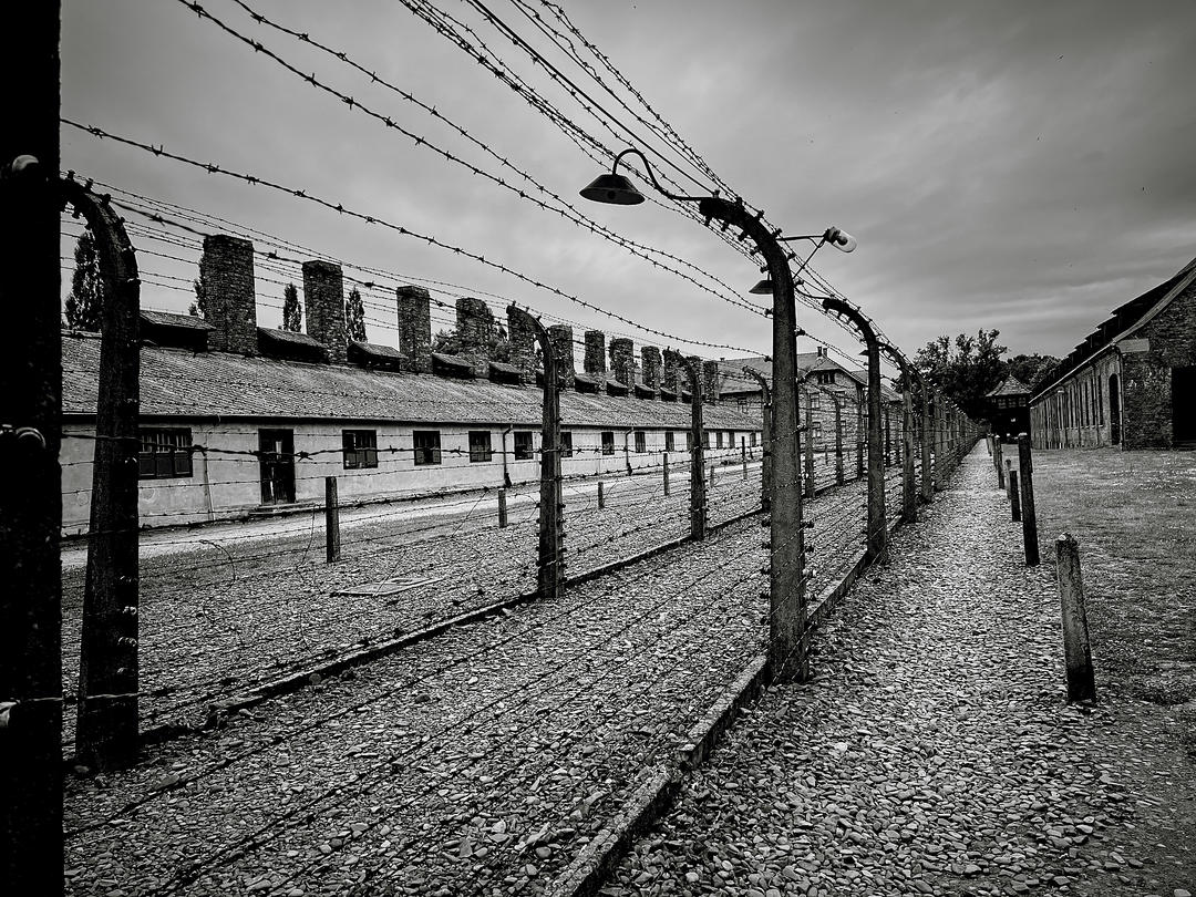 Barbed wire