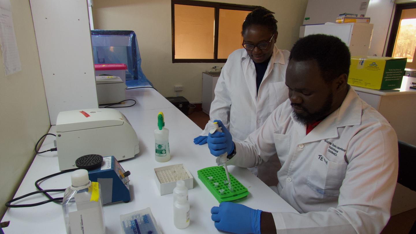 Two scientists in white coats working together