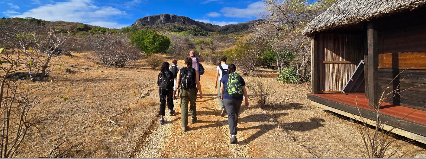 shot of three people from behind
