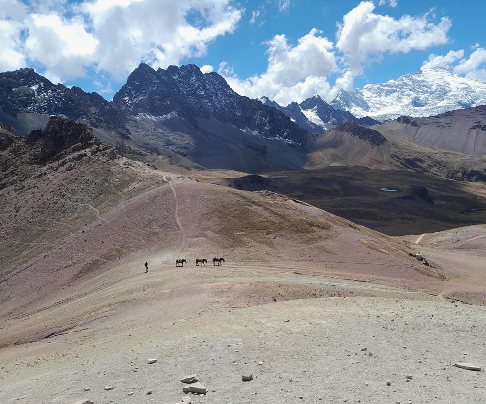 A lone herder with three horses on Rainbow Mountain in Peru