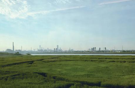 Photo of a city with tall buildings and skyscrapers from afar, with grass in the foreground - representing the New Jersey Meadowlands.