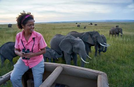 Paula Kahumbu sits atop a safari vehicle while elephants roam nearby