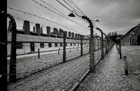 Barbed wire