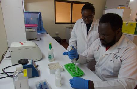 Two scientists in white coats working together