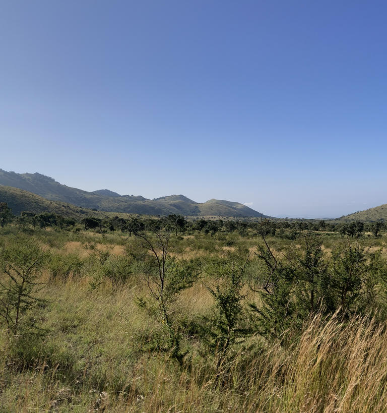 A safari vehicle in a Kenyan savanna