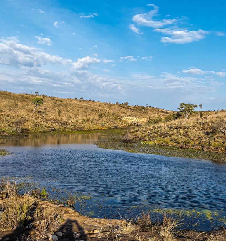 a lake at mpala