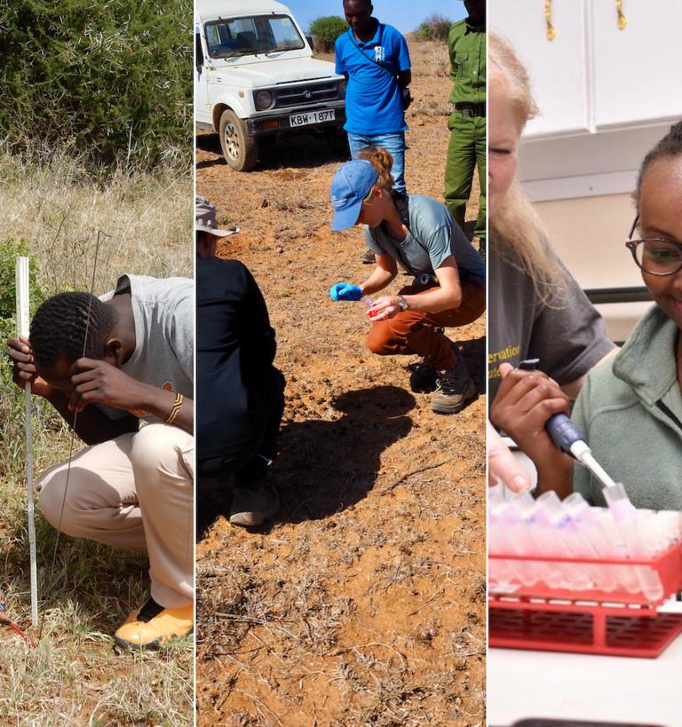 images from different mpala research projects