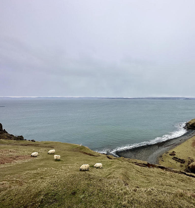 Scottish countryside with sheep grazing in foreground