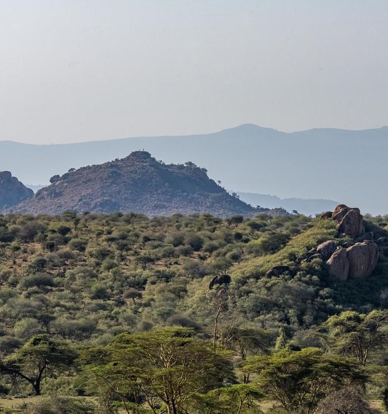 Photo of Mpala horizon